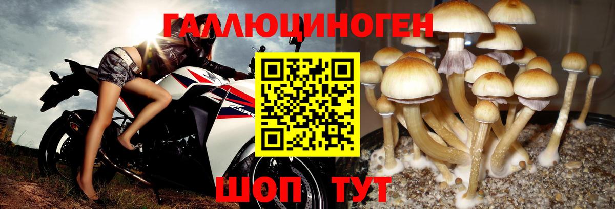 Галлюциногенные грибы мухоморы Пыть-Ях